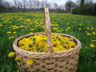 Le temps des fleurs, acte 2 :