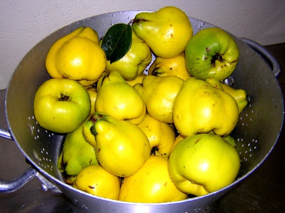 Des fruits frais du terroir  
pour un goût authentique.