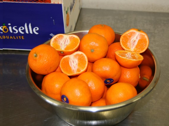 Des fruits frais du terroir  
pour un goût authentique.