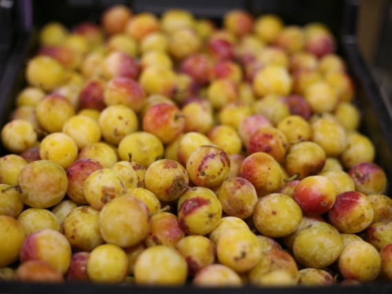 Des fruits frais du terroir  
pour un goût authentique.