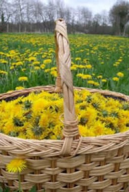 Le temps des fleurs, acte 2 :